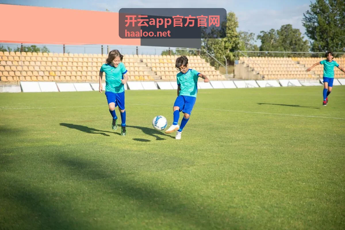 开云app官方官网账号登录界面示意图