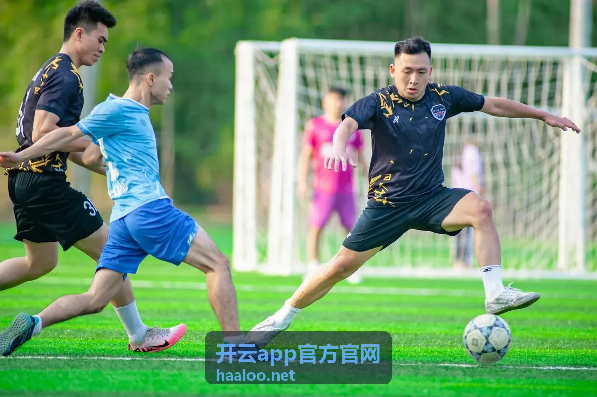 开云app官方官网消息提醒与个性化设置界面示意图