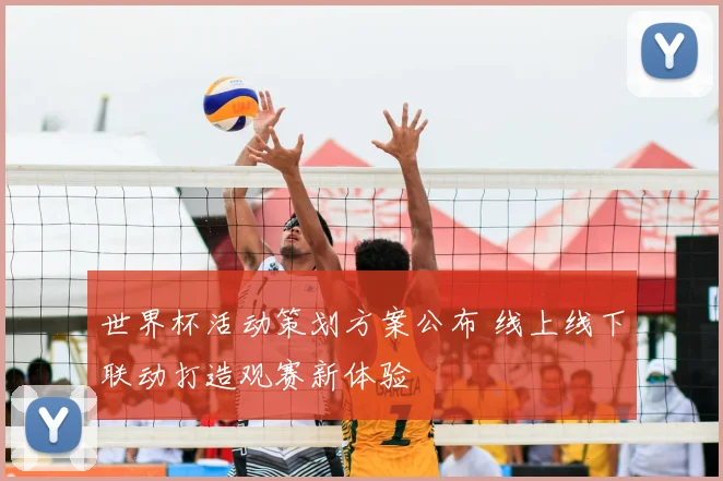 世界杯活动策划方案公布 线上线下联动打造观赛新体验