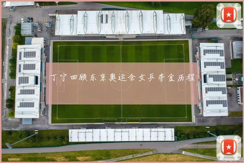 丁宁回顾东京奥运会女乒夺金历程