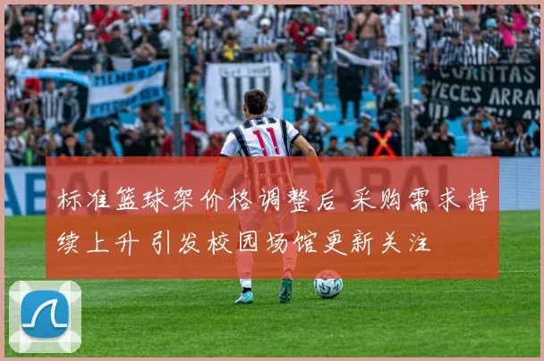 标准篮球架价格调整后 采购需求持续上升 引发校园场馆更新关注
