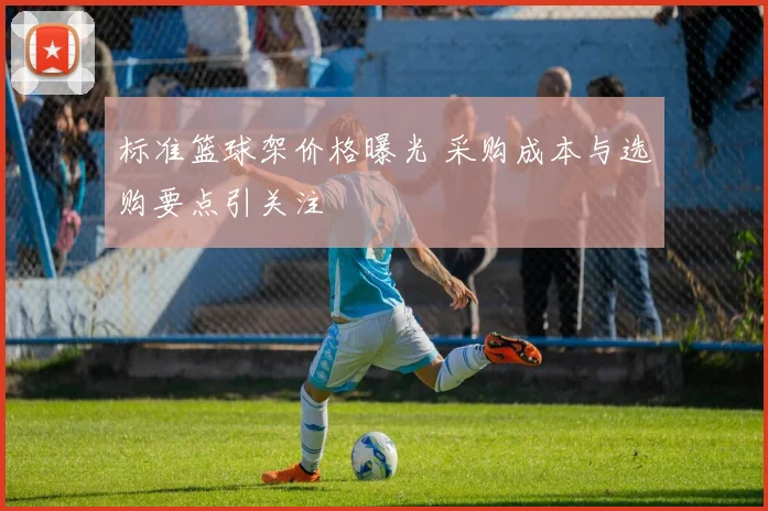 标准篮球架价格曝光 采购成本与选购要点引关注